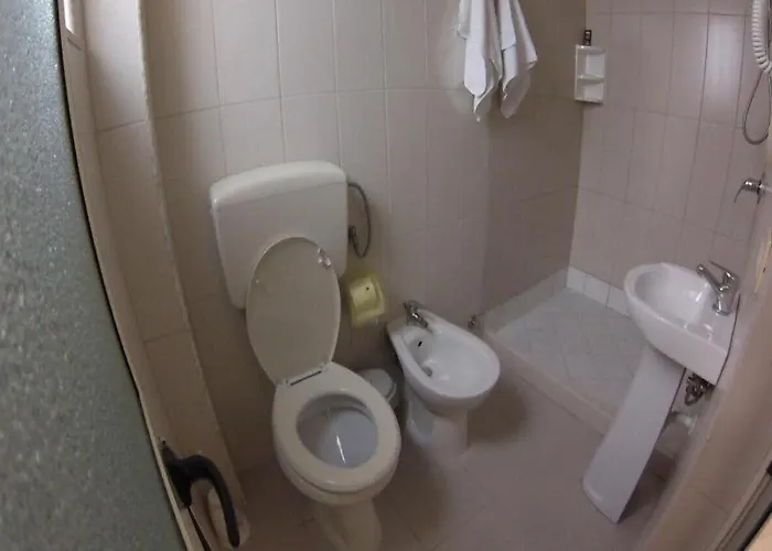 4 Stinet فندق فلورا